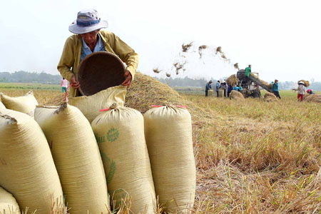 Anh minh hoa