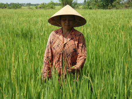 Anh minh hoa
