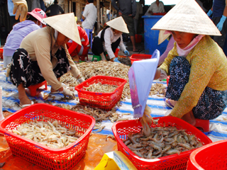Anh minh hoa