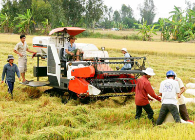 Áp Lực Cạnh Tranh Nông Nghiệp Cần Giải Pháp Chống Các Cú “Sốc” Từ Thị  Trường Thế Giới